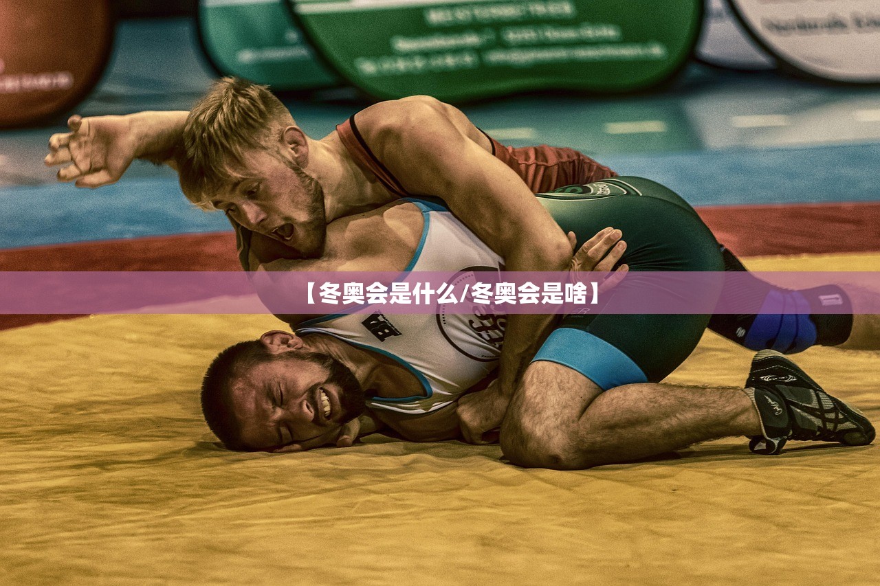 【冬奥会是什么/冬奥会是啥】 【冬奥会是什么/冬奥会是啥】