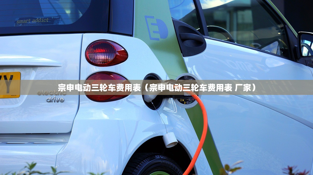 宗申电动三轮车费用表（宗申电动三轮车费用表 厂家）