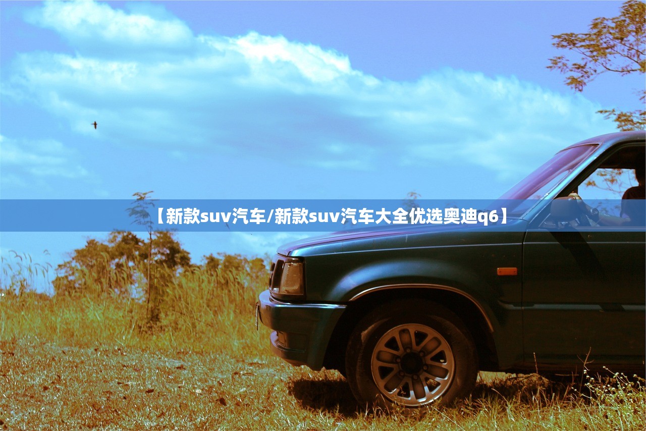 【新款suv汽车/新款suv汽车大全优选奥迪q6】