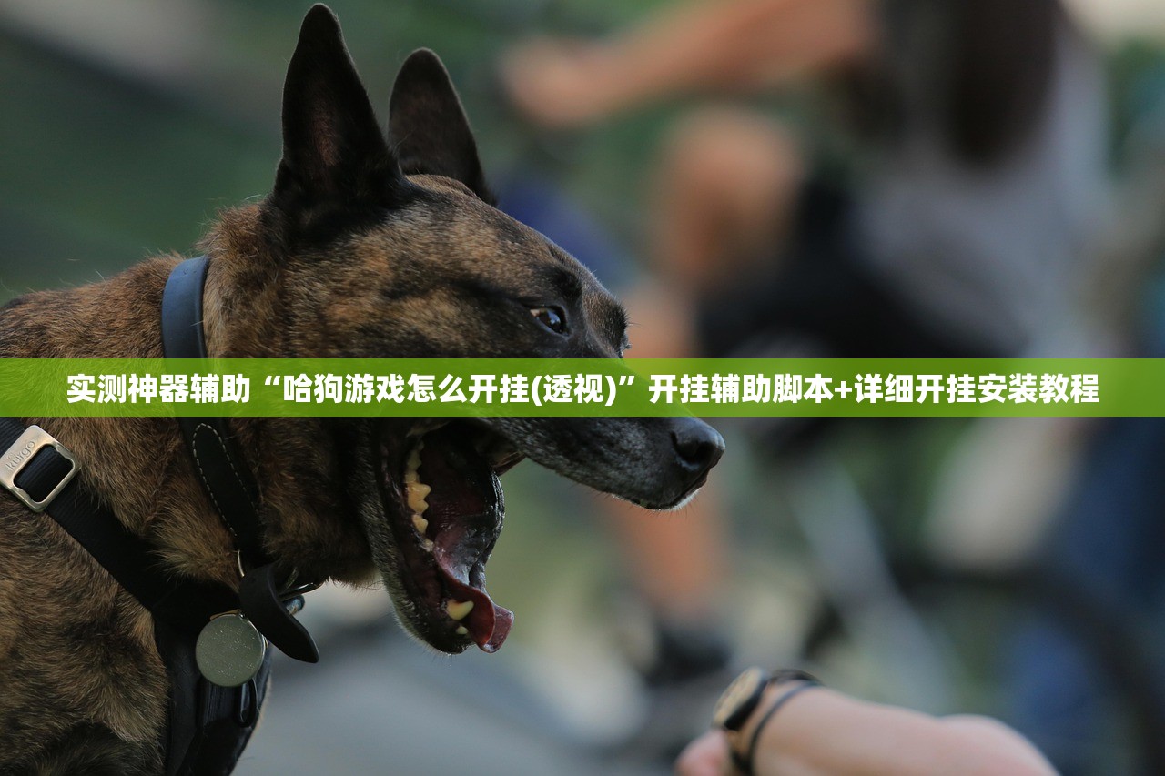 【甲壳虫变速箱/甲壳虫变速箱不跳档】