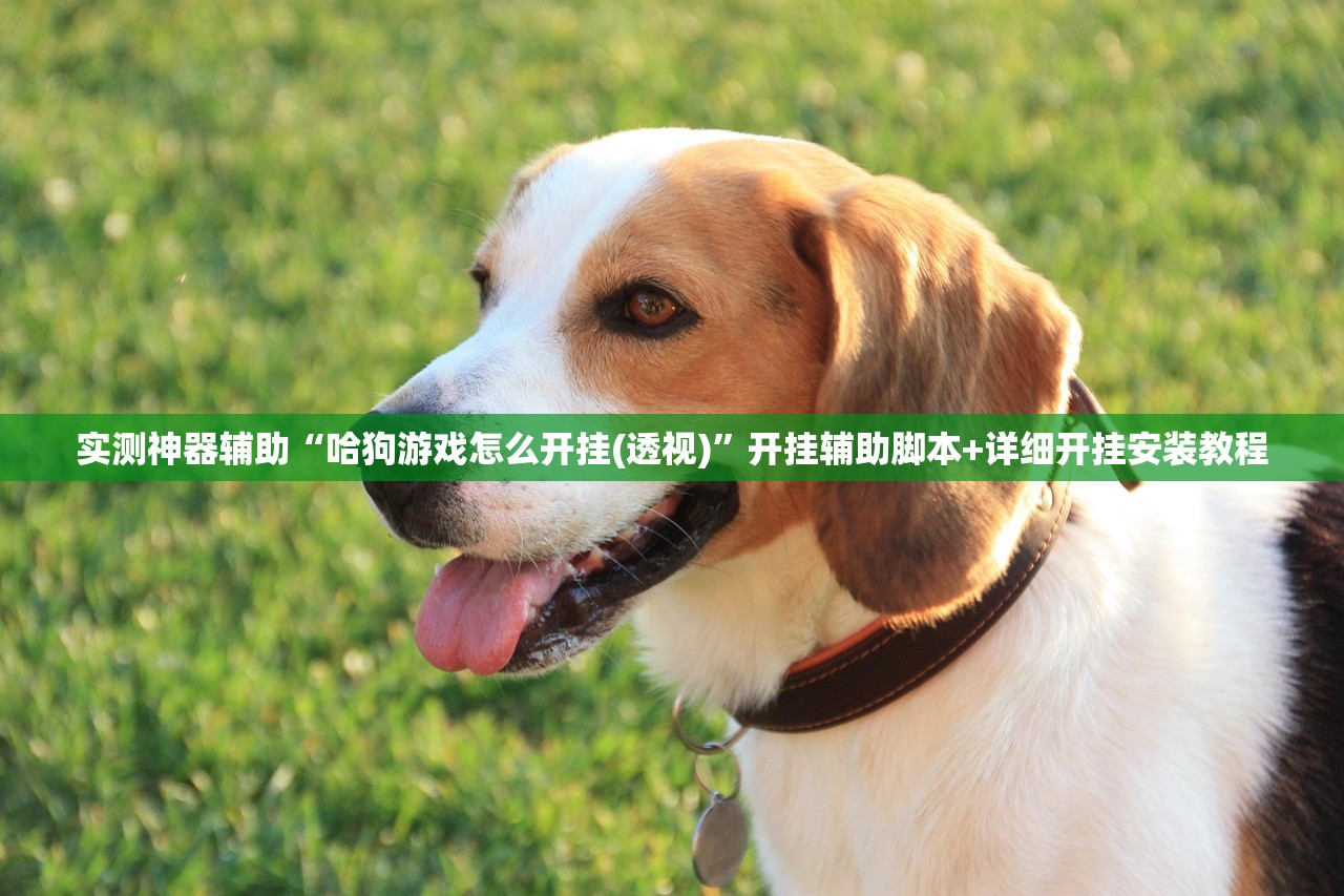 实测神器辅助“哈狗游戏怎么开挂(透视)”开挂辅助脚本+详细开挂安装教程