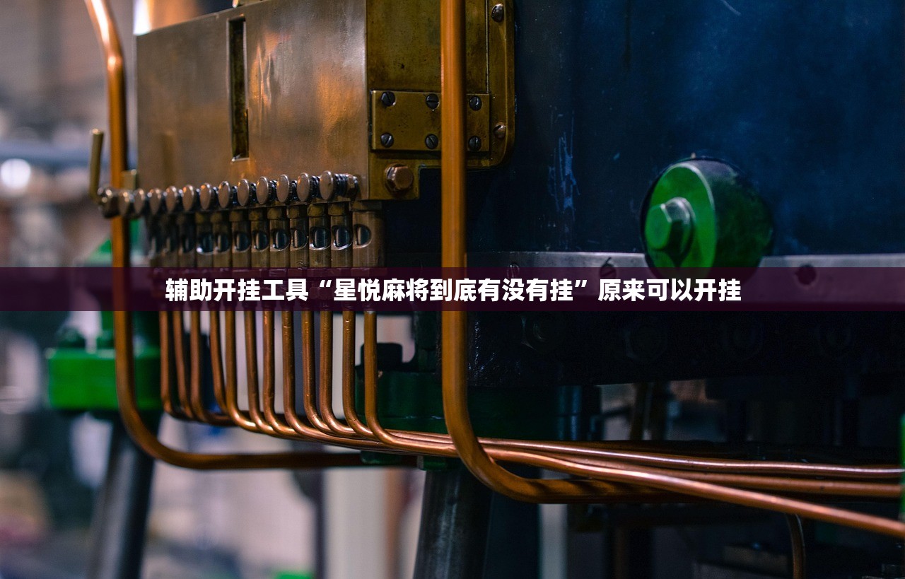 一键必胜“微信跑得快开挂”其实确实有挂