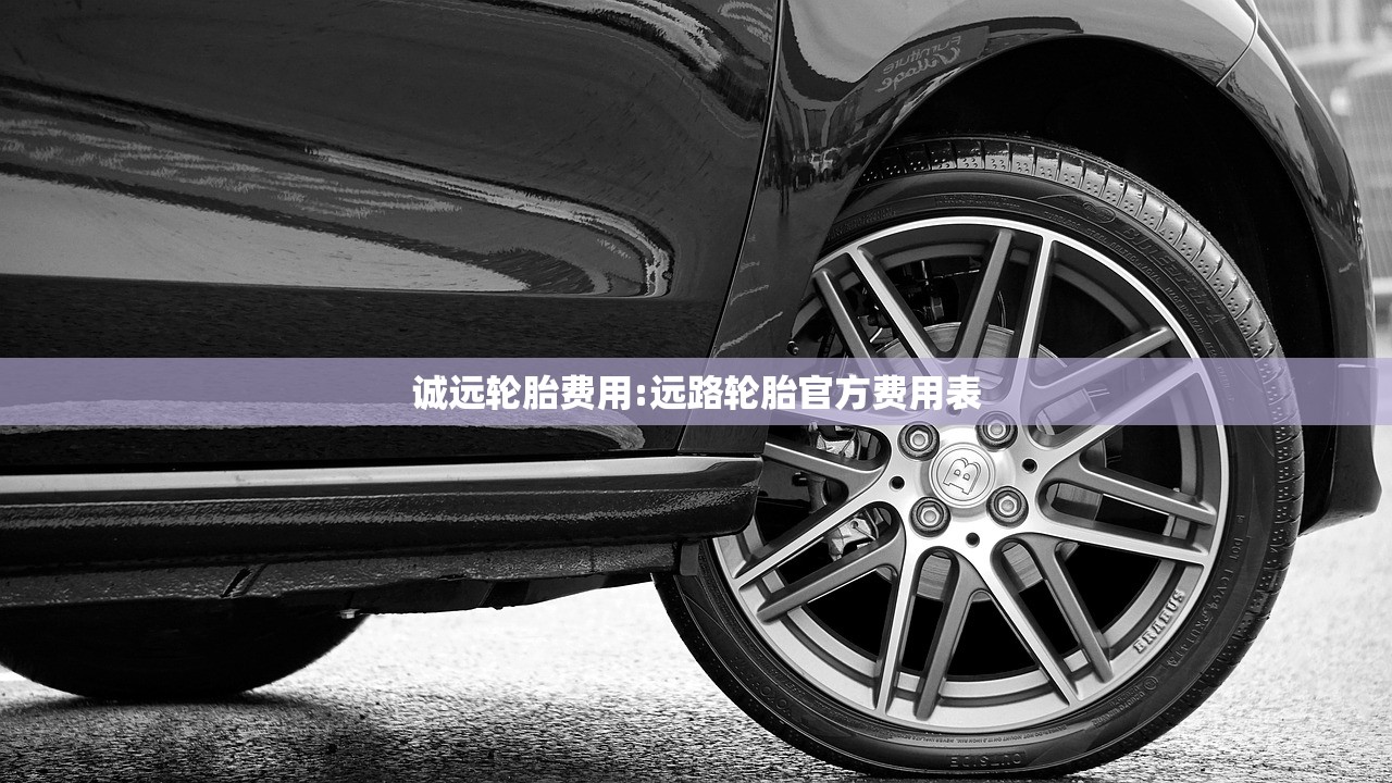 诚远轮胎费用:远路轮胎官方费用表