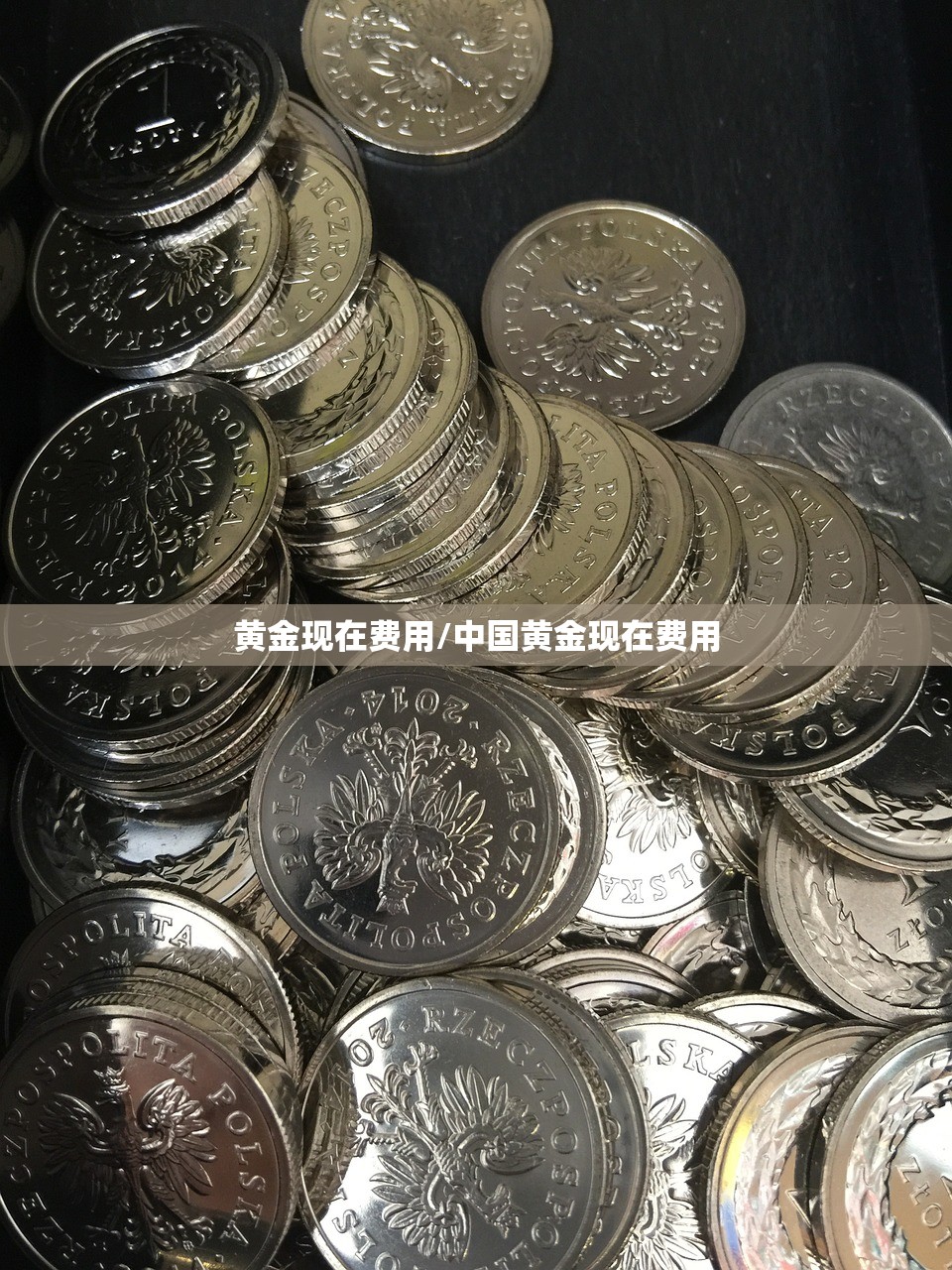 黄金现在费用/中国黄金现在费用