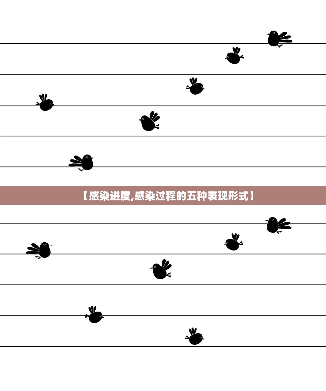 阻尼器安装方法:阻尼器安装方法