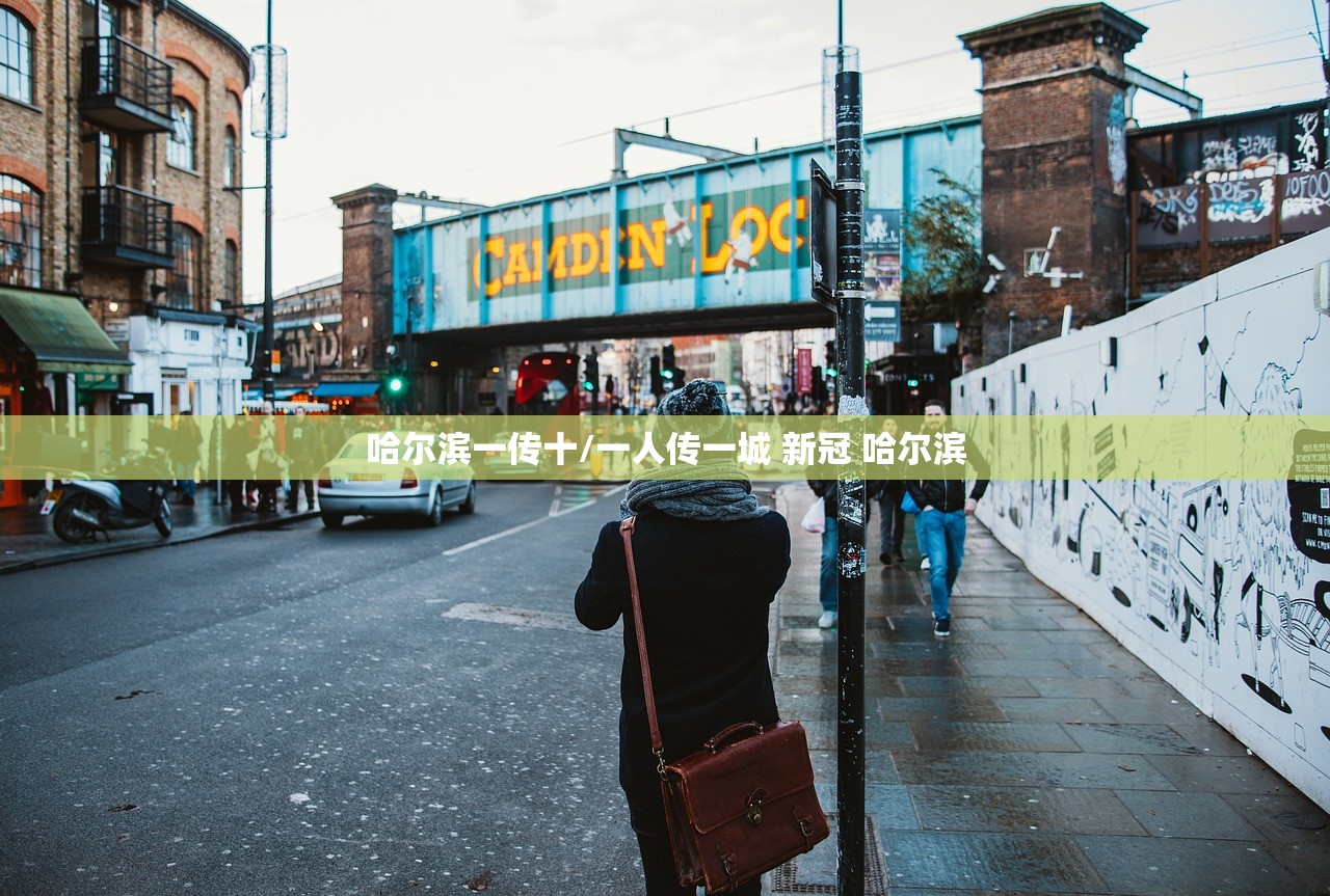 哈尔滨一传十/一人传一城 新冠 哈尔滨 哈尔滨一传十/一人传一城 新冠 哈尔滨