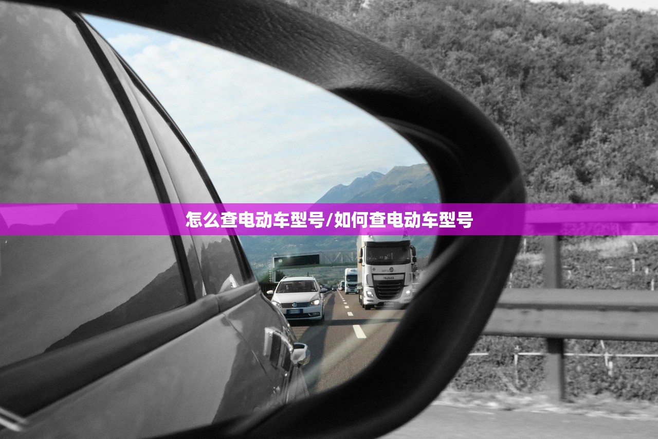 怎么查电动车型号/如何查电动车型号 怎么查电动车型号/如何查电动车型号
