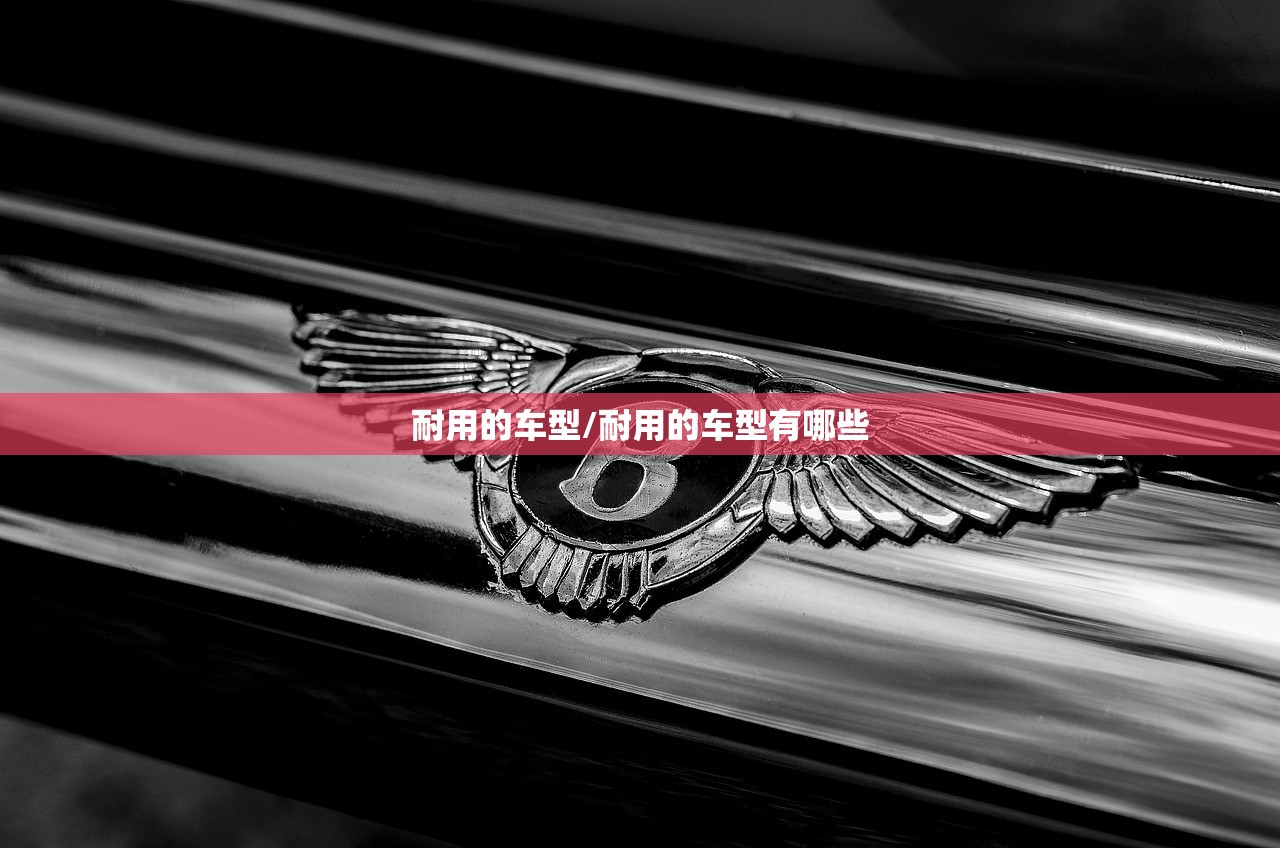耐用的车型/耐用的车型有哪些 耐用的车型/耐用的车型有哪些