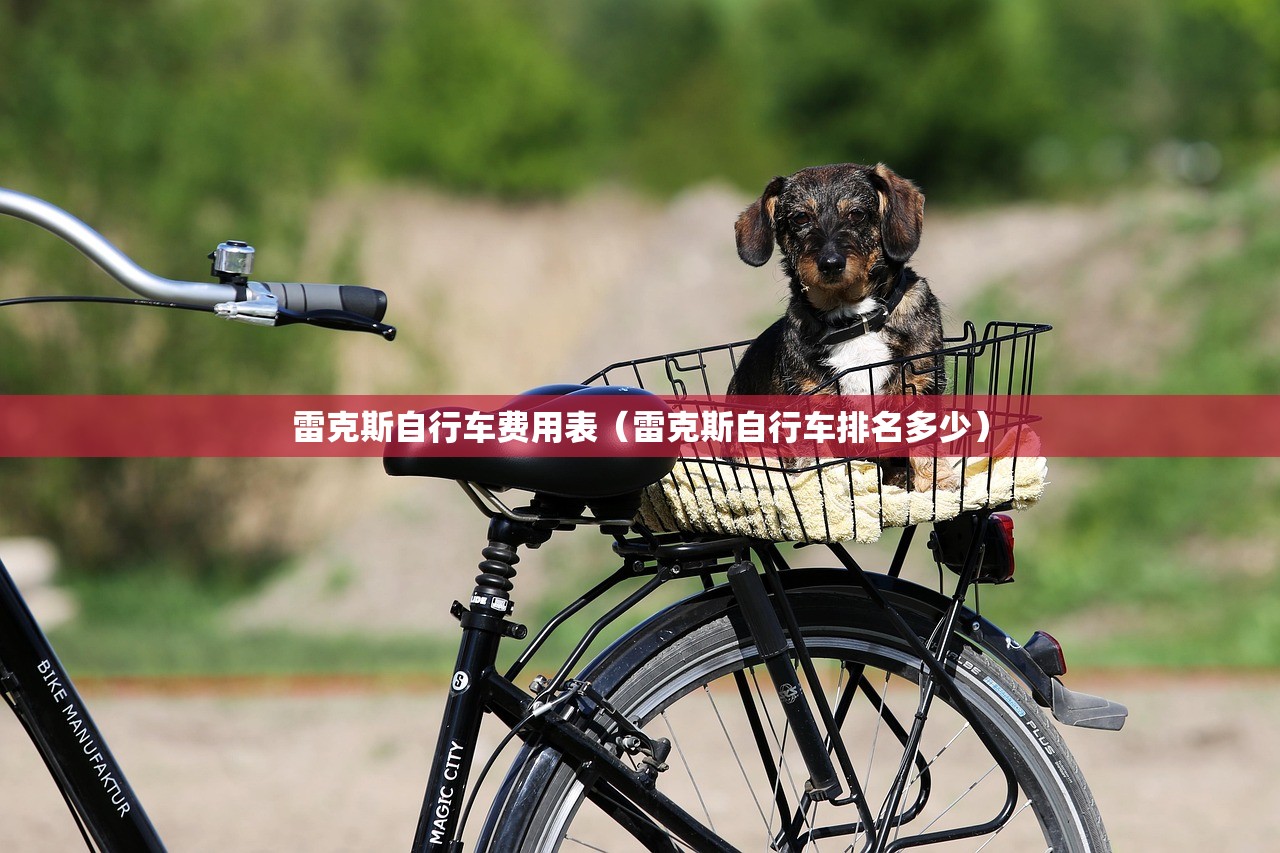 雷克斯自行车费用表(雷克斯自行车排名多少) 雷克斯自行车费用表(雷克斯自行车排名多少)