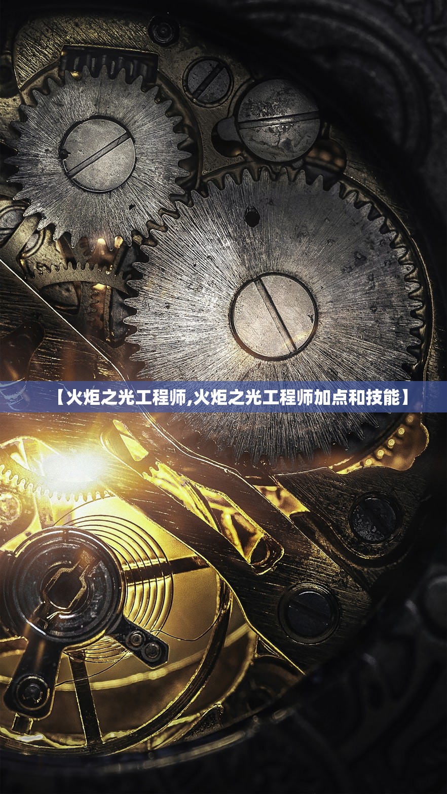 【火炬之光工程师,火炬之光工程师加点和技能】 【火炬之光工程师,火炬之光工程师加点和技能】