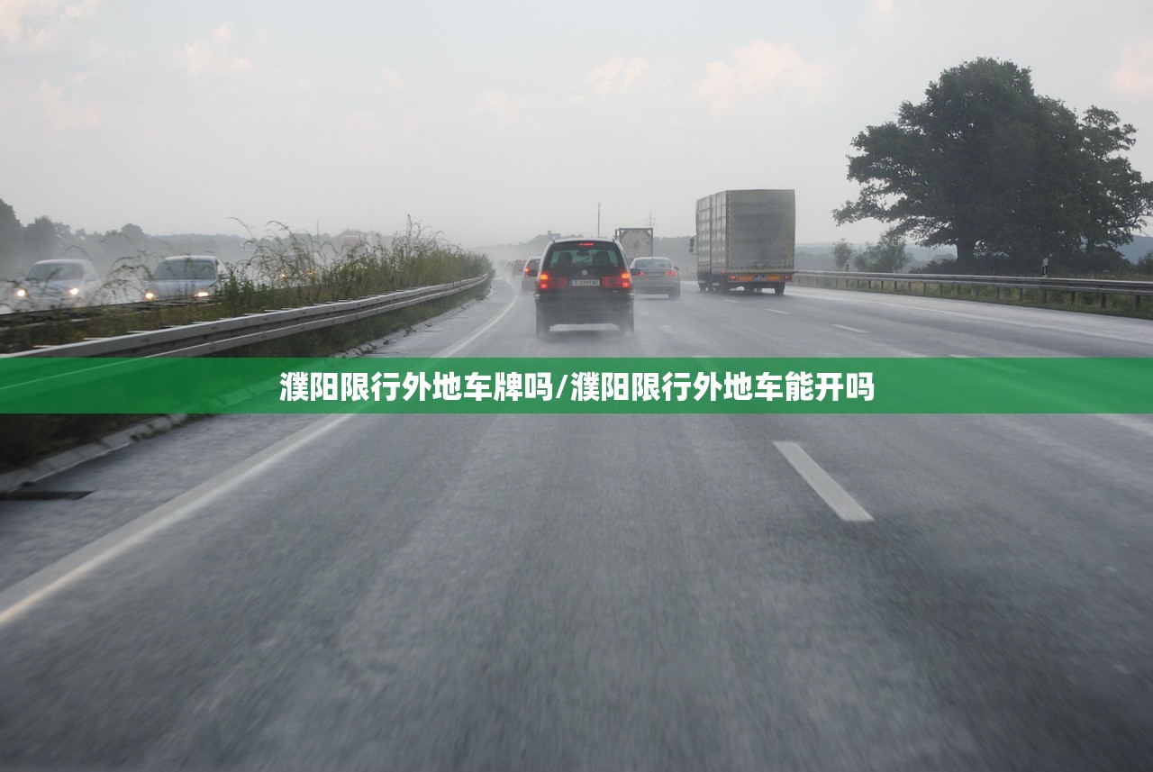 濮阳限行外地车牌吗/濮阳限行外地车能开吗 濮阳限行外地车牌吗/濮阳限行外地车能开吗