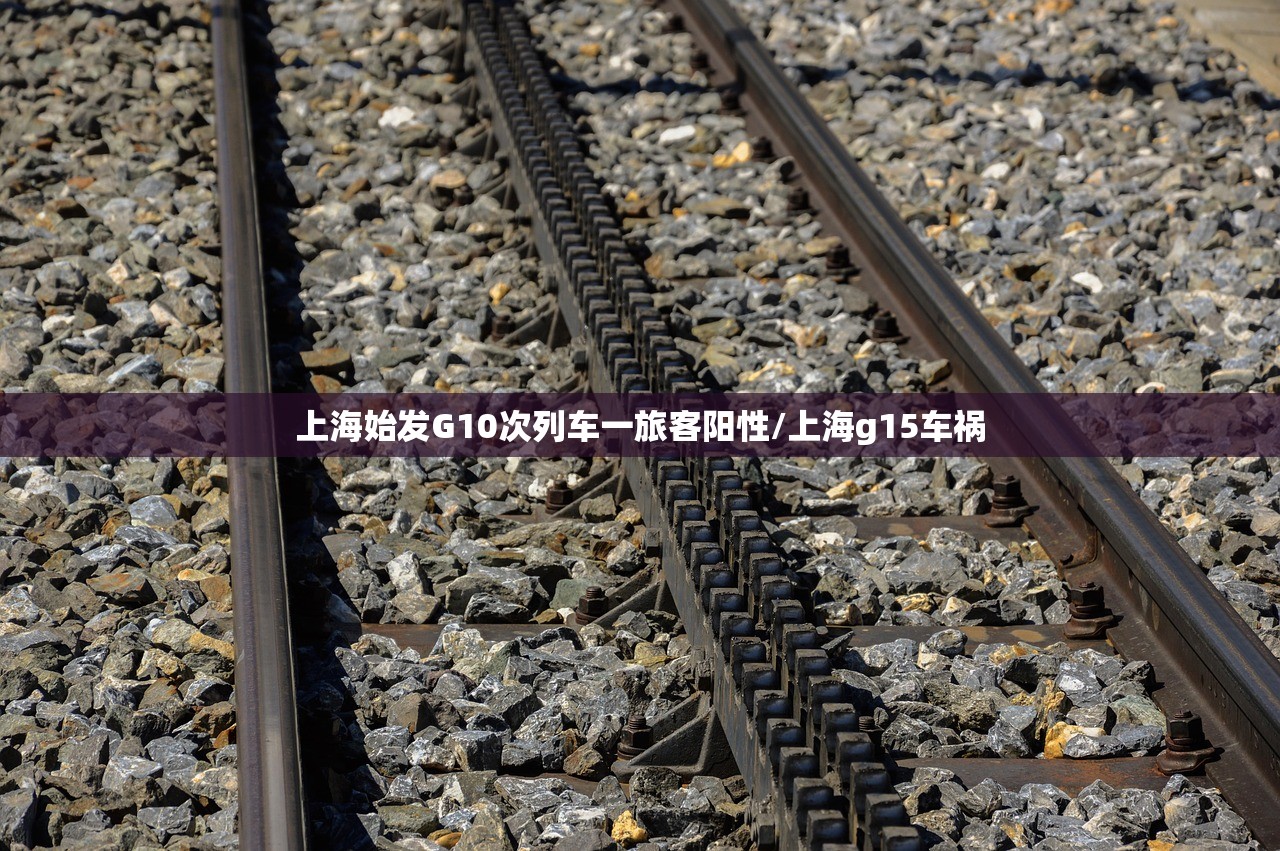 上海始发G10次列车一旅客阳性/上海g15车祸 上海始发G10次列车一旅客阳性/上海g15车祸