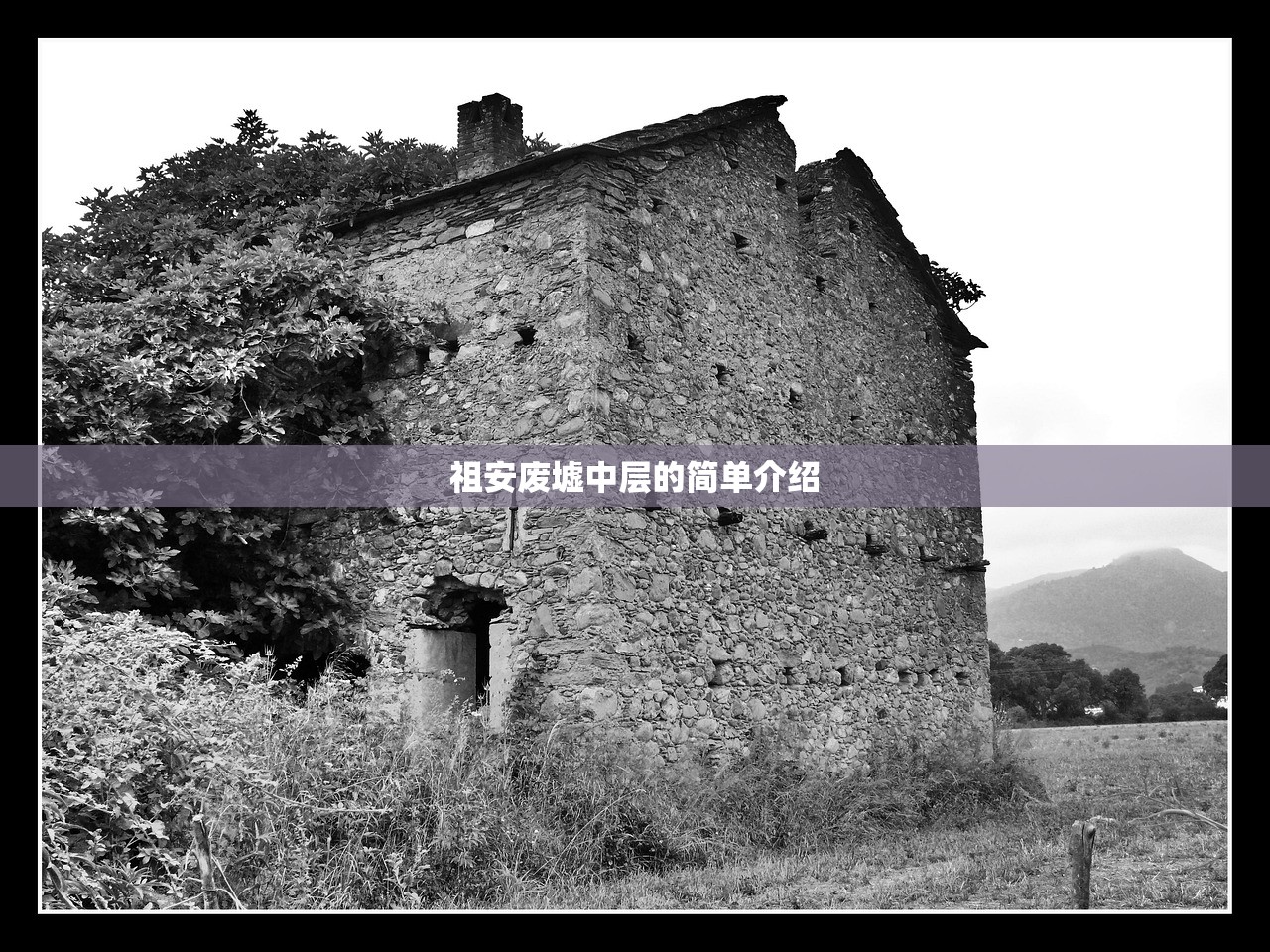 祖安废墟中层的简单介绍 祖安废墟中层的简单介绍