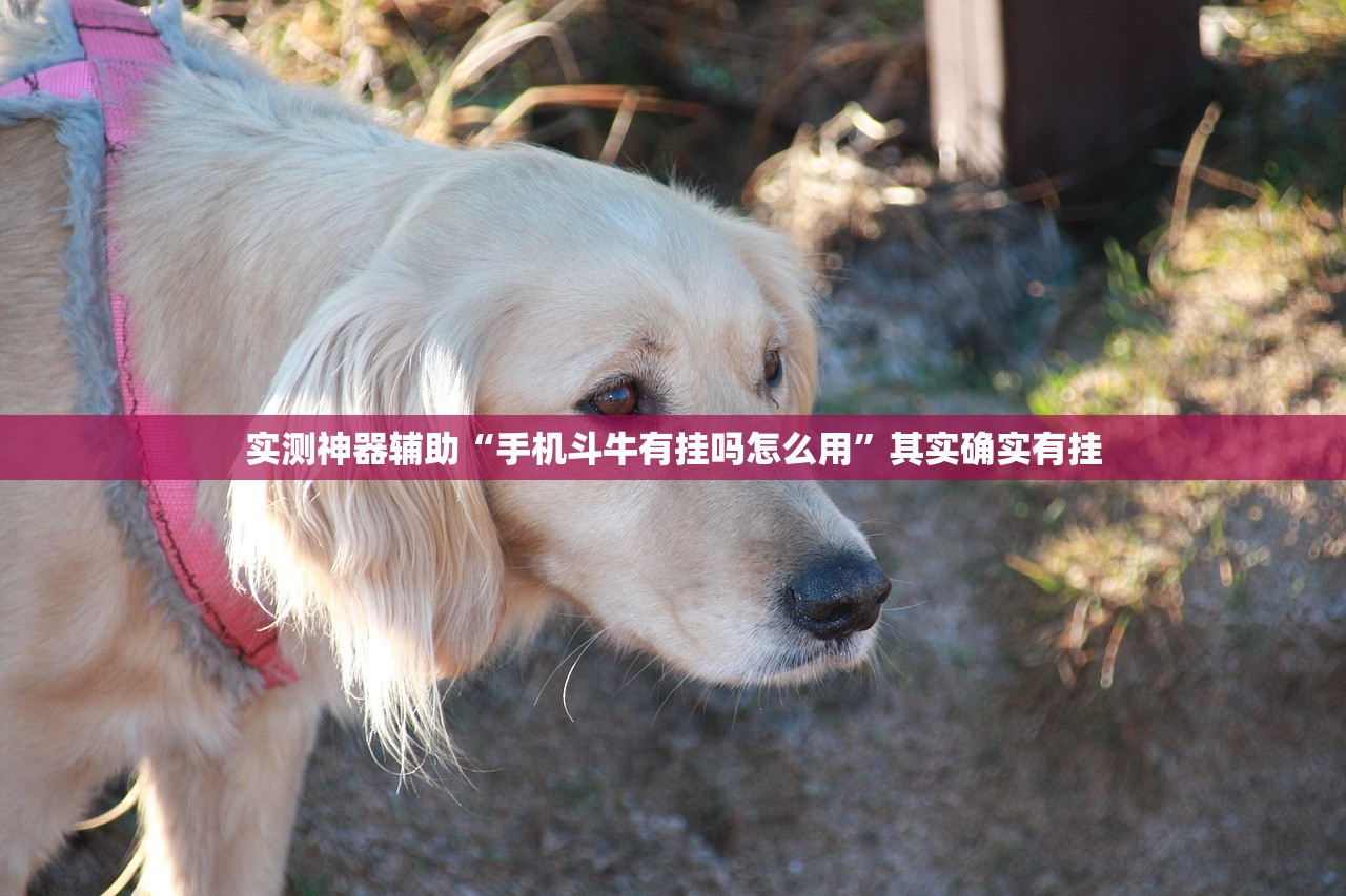 【青岛12例确诊多数是结核病人/青岛确诊多少例了】