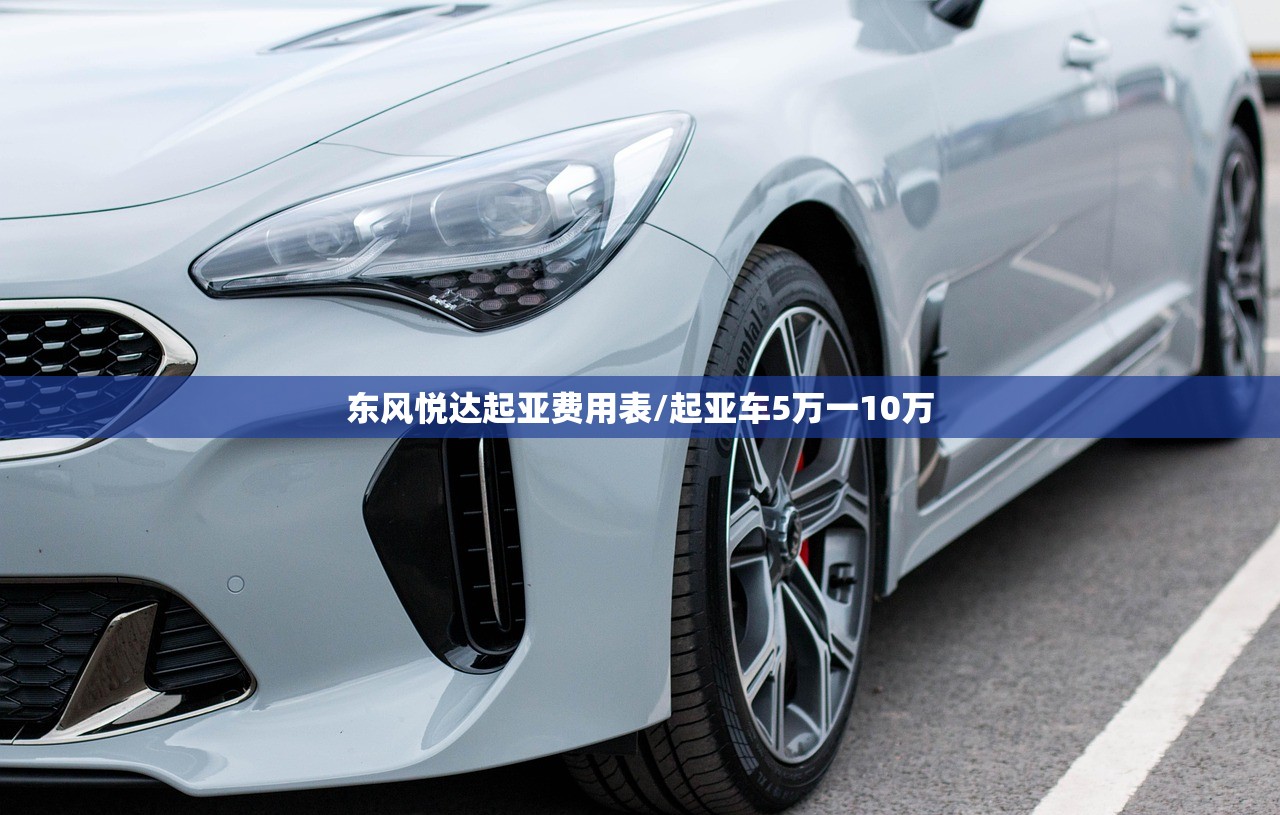 东风悦达起亚费用表/起亚车5万一10万