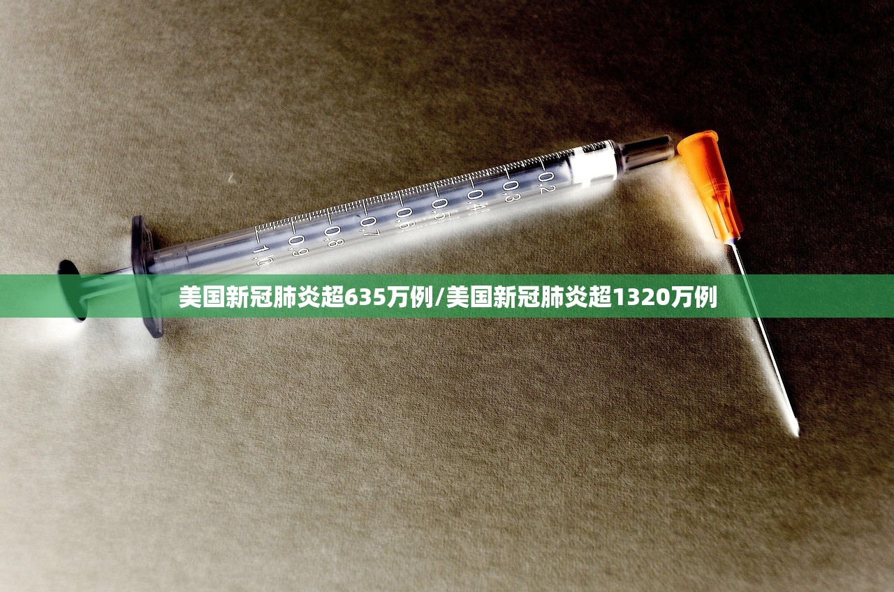 美国新冠肺炎超635万例/美国新冠肺炎超1320万例
