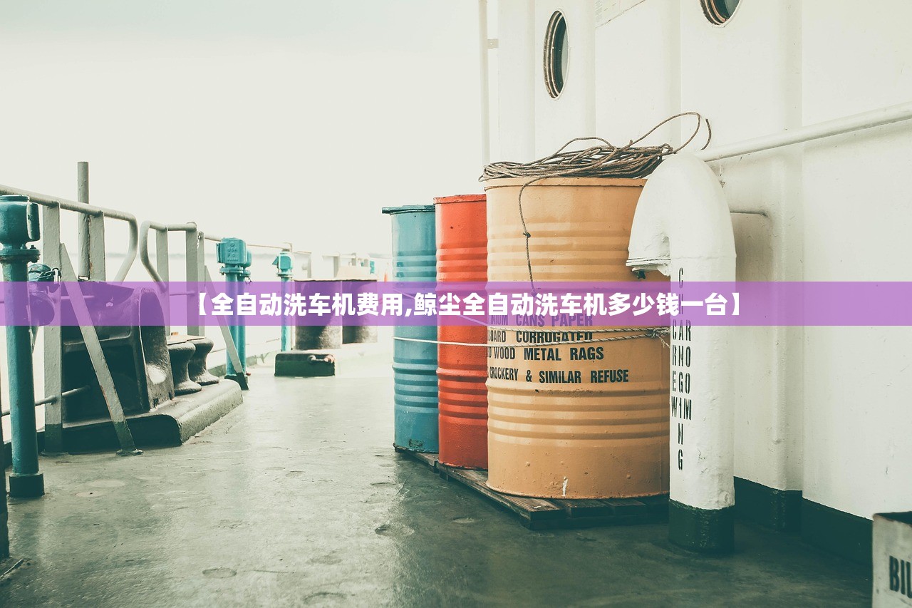 【全自动洗车机费用,鲸尘全自动洗车机多少钱一台】