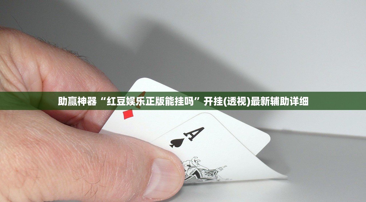 助赢神器“红豆娱乐正版能挂吗	”开挂(透视)最新辅助详细