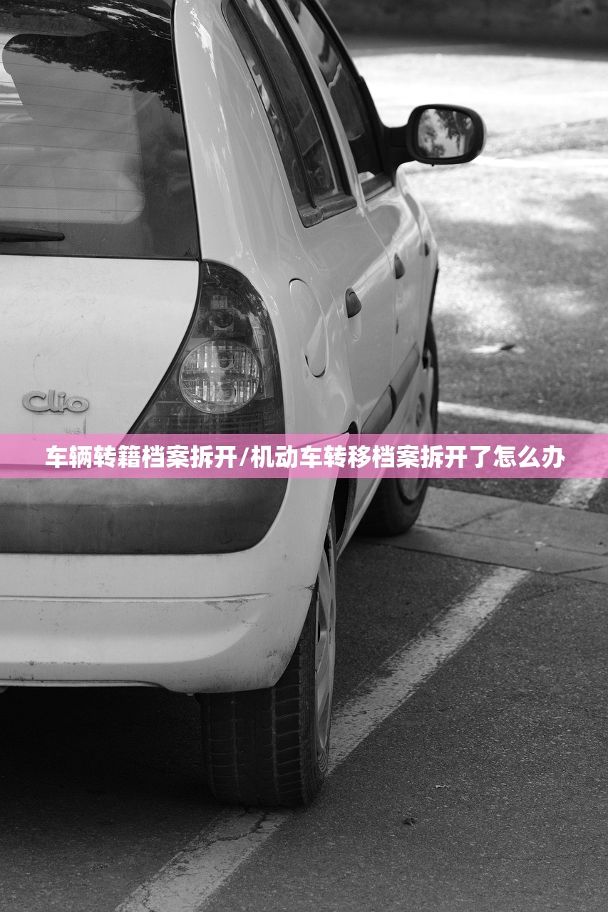 开挂辅助工具“哈局十三张外卦辅助软件下载”(透视挂)辅助下载教程