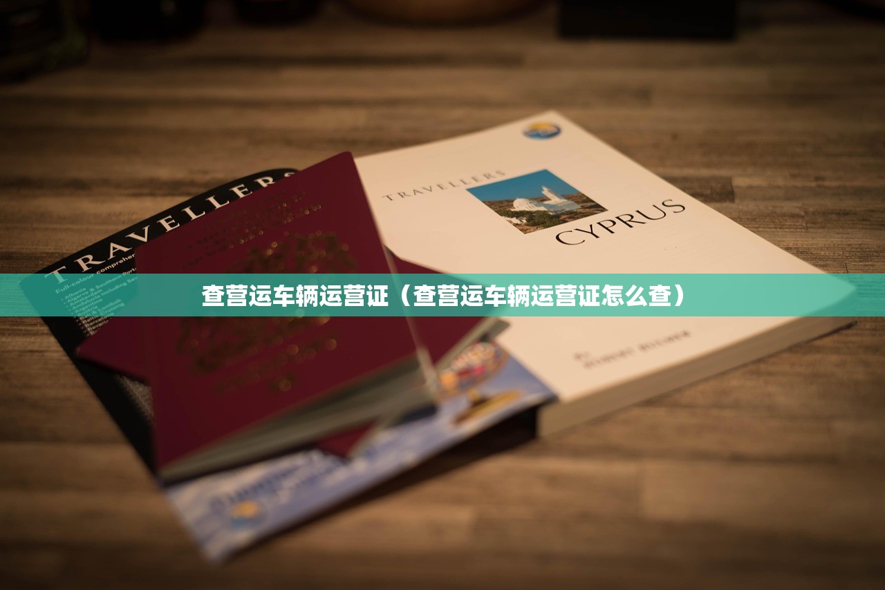 查营运车辆运营证（查营运车辆运营证怎么查）