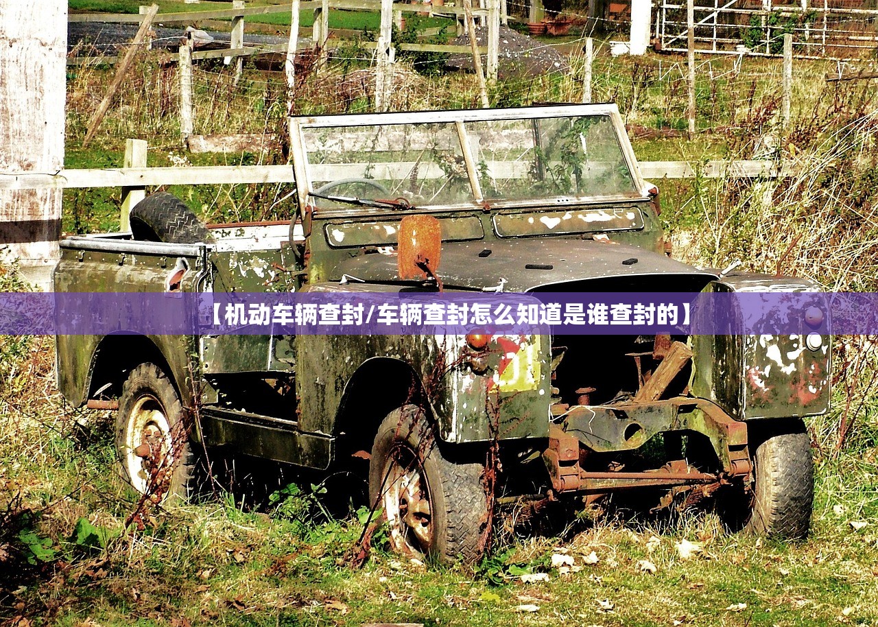 辅助开挂工具“乐清十三张怎么开挂”(透视)其实确实有挂