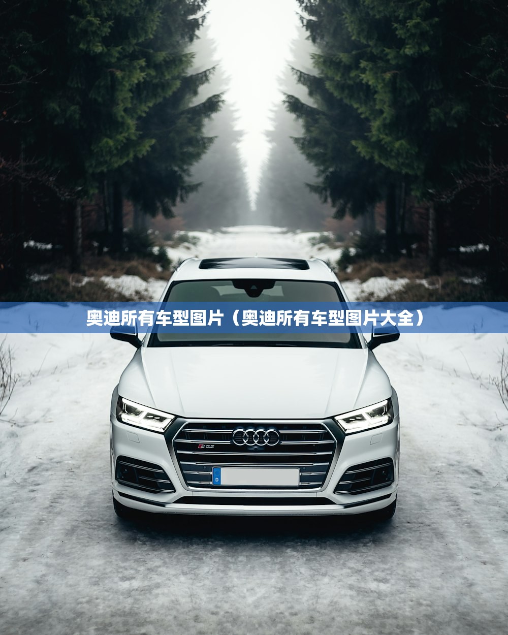 奥迪所有车型图片（奥迪所有车型图片大全）