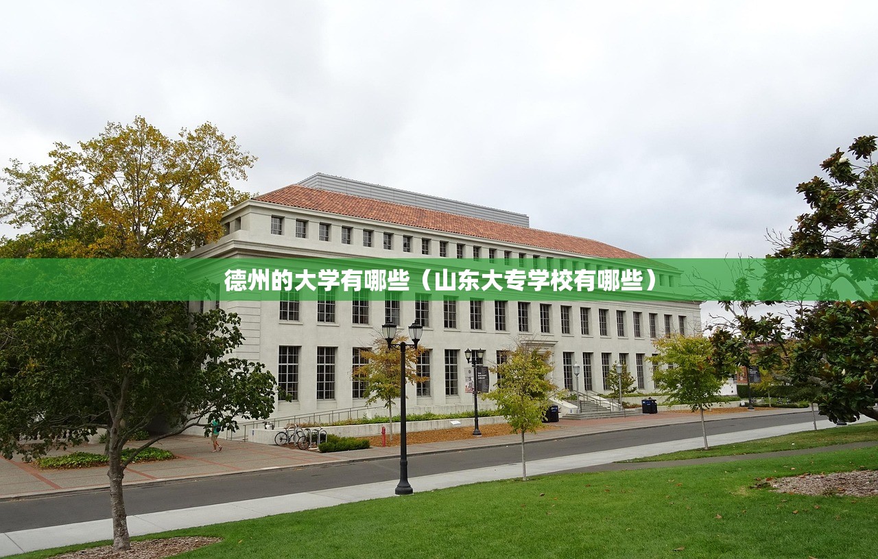 德州的大学有哪些（山东大专学校有哪些）