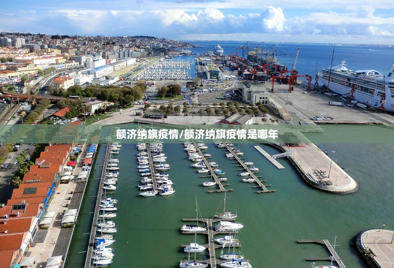 31省区市本土无新增确诊（31省无新增确诊 新闻）