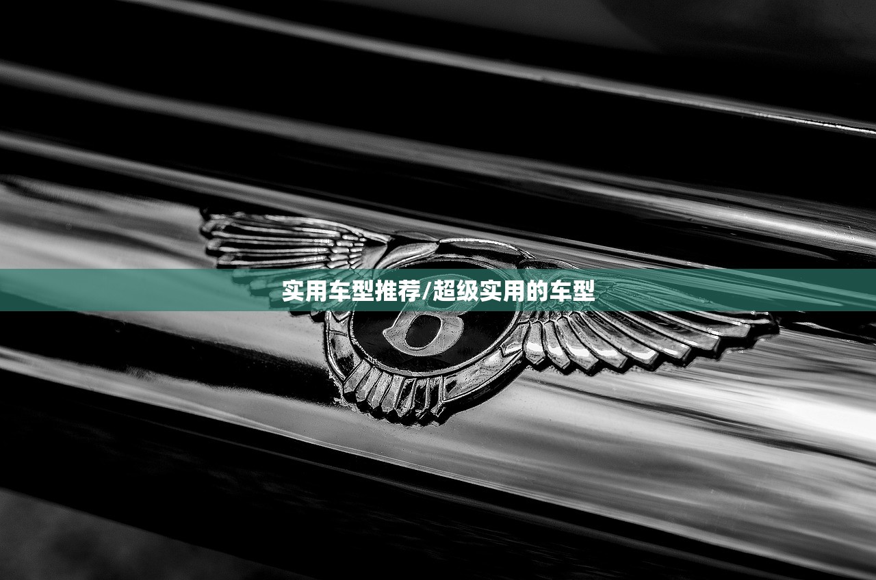 实用车型推荐/超级实用的车型