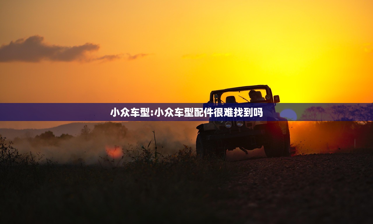 小众车型:小众车型配件很难找到吗