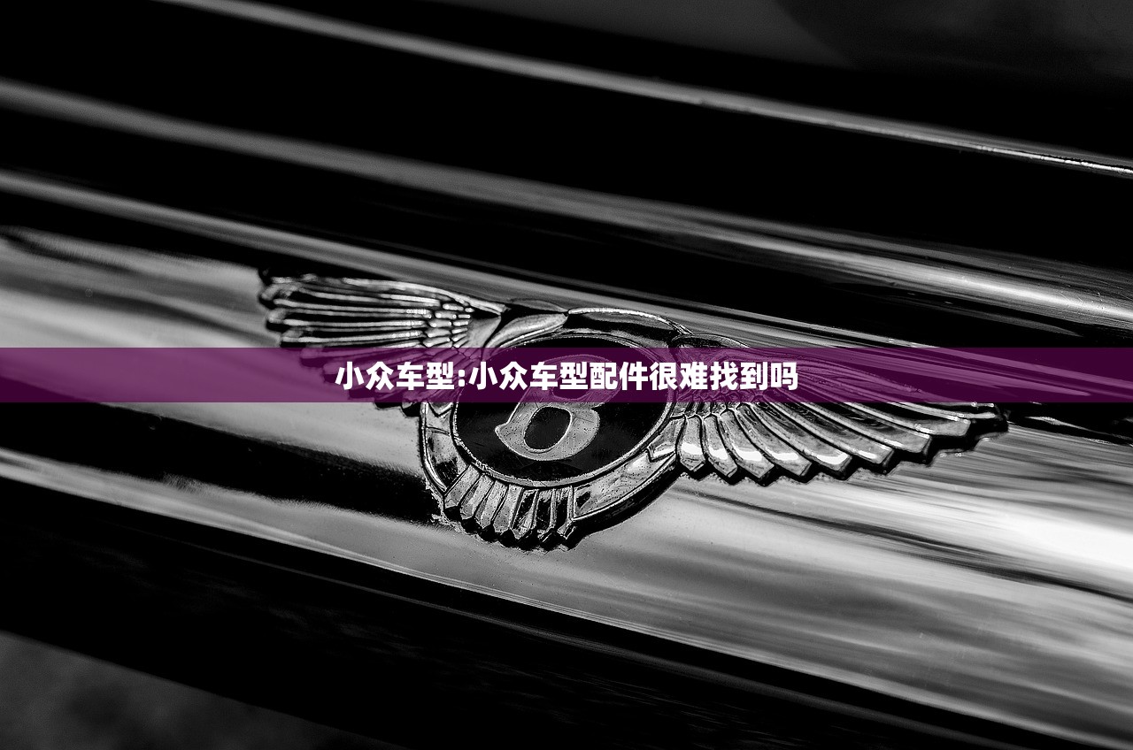小众车型:小众车型配件很难找到吗