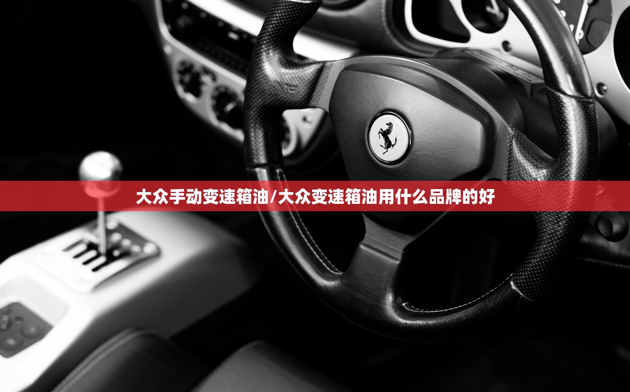 大众手动变速箱油/大众变速箱油用什么品牌的好