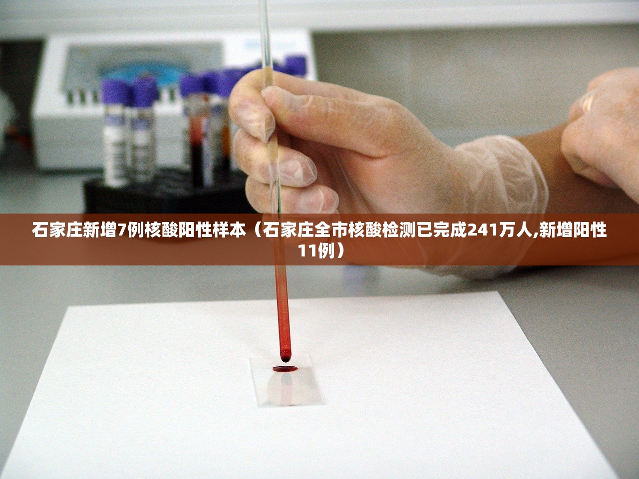 石家庄新增7例核酸阳性样本（石家庄全市核酸检测已完成241万人,新增阳性11例）