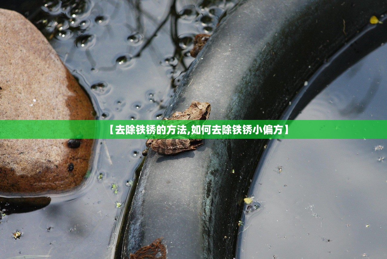 【去除铁锈的方法,如何去除铁锈小偏方】