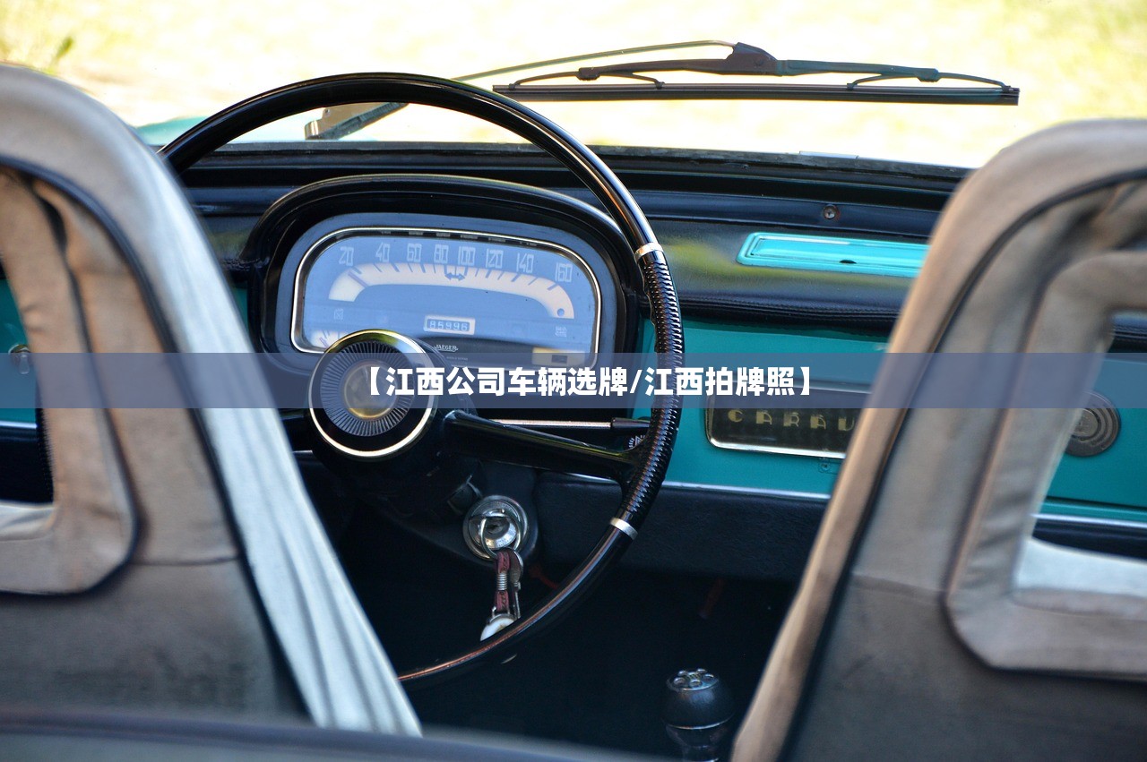 【江西公司车辆选牌/江西拍牌照】