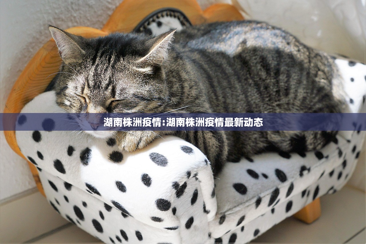 湖南株洲疫情:湖南株洲疫情最新动态