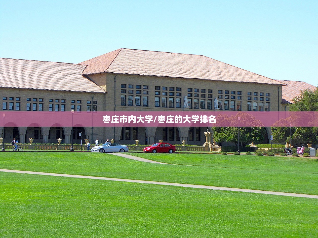 枣庄市内大学/枣庄的大学排名