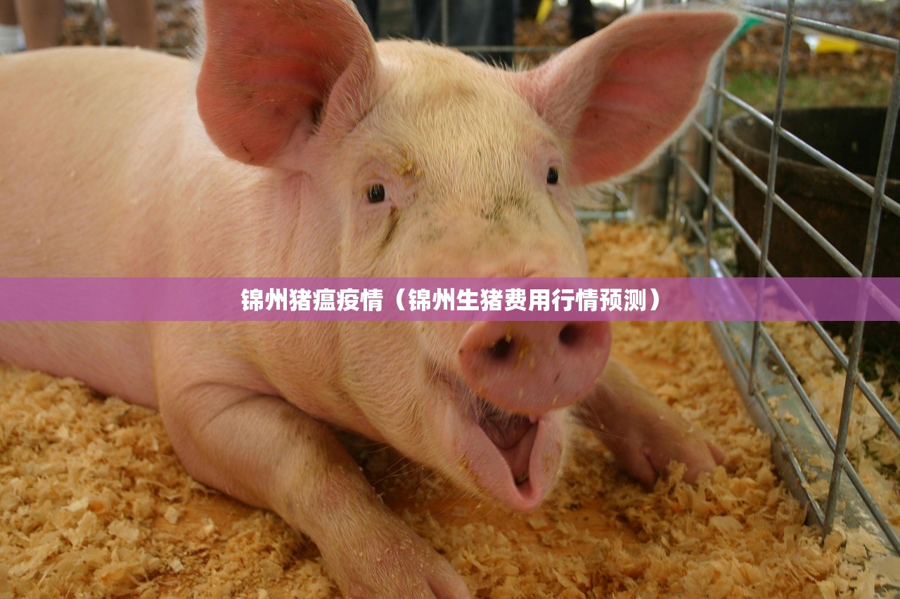 上海确诊病例:上海确诊病例有多少