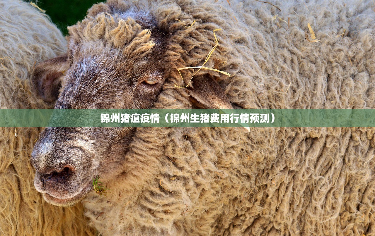 锦州猪瘟疫情（锦州生猪费用行情预测）