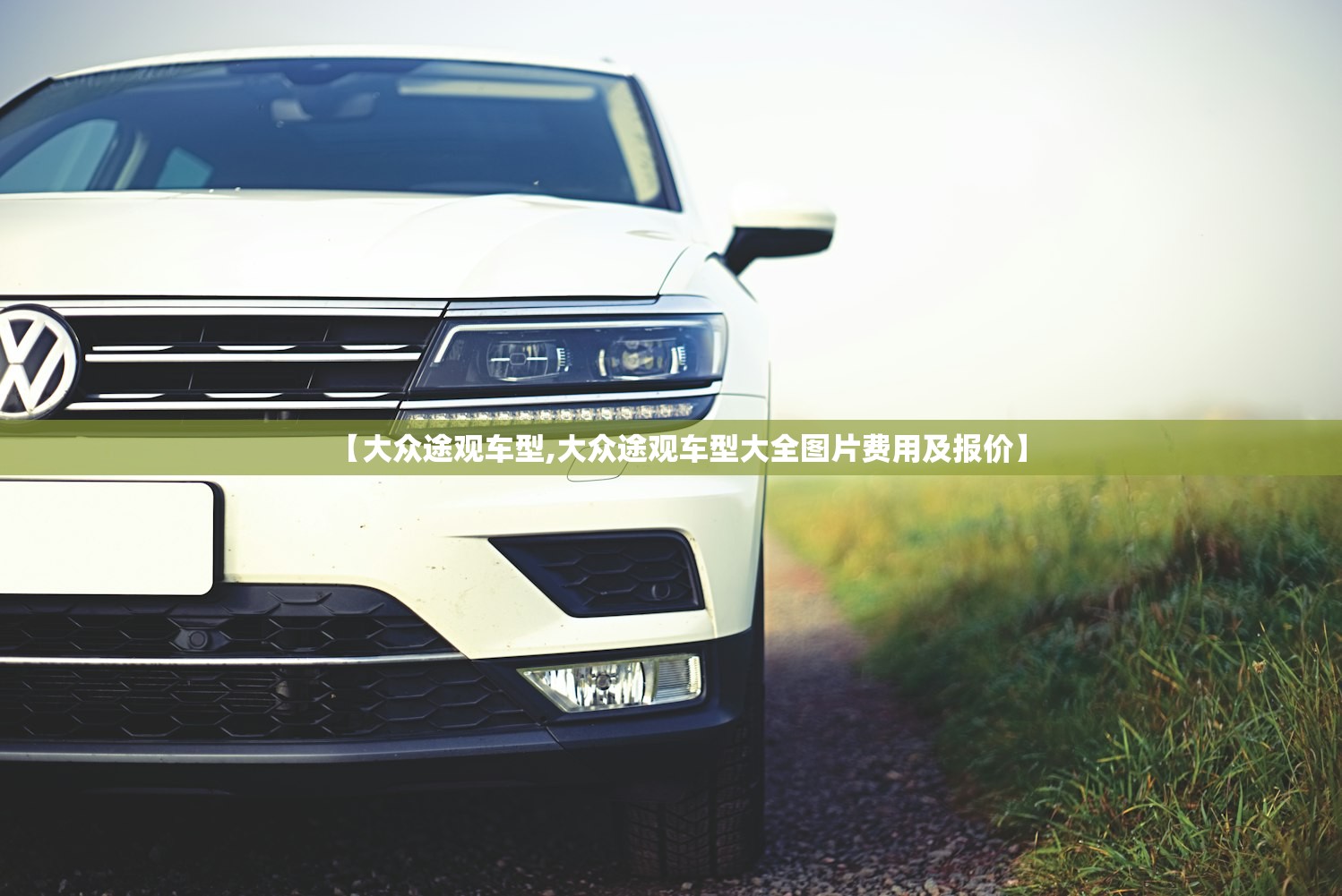 【大众途观车型,大众途观车型大全图片费用及报价】 【大众途观车型,大众途观车型大全图片费用及报价】