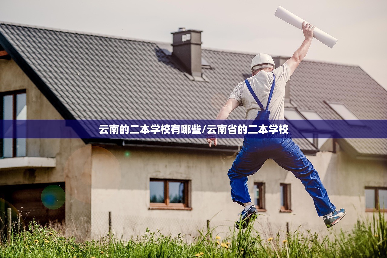 云南的二本学校有哪些/云南省的二本学校