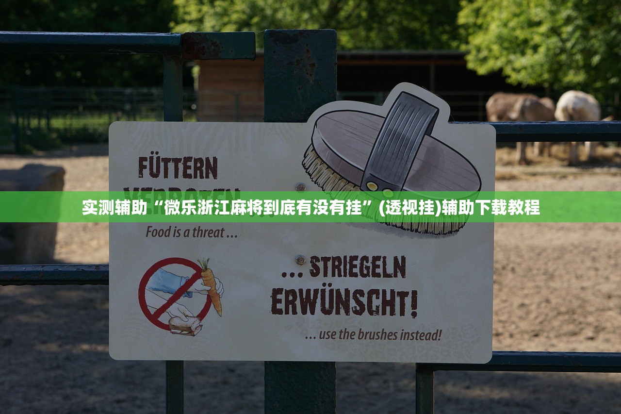 实测辅助“微乐浙江麻将到底有没有挂	”(透视挂)辅助下载教程
