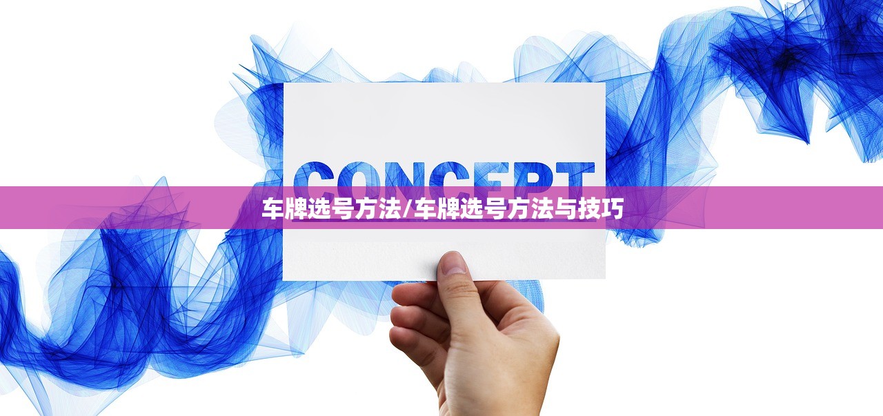 车牌选号方法/车牌选号方法与技巧