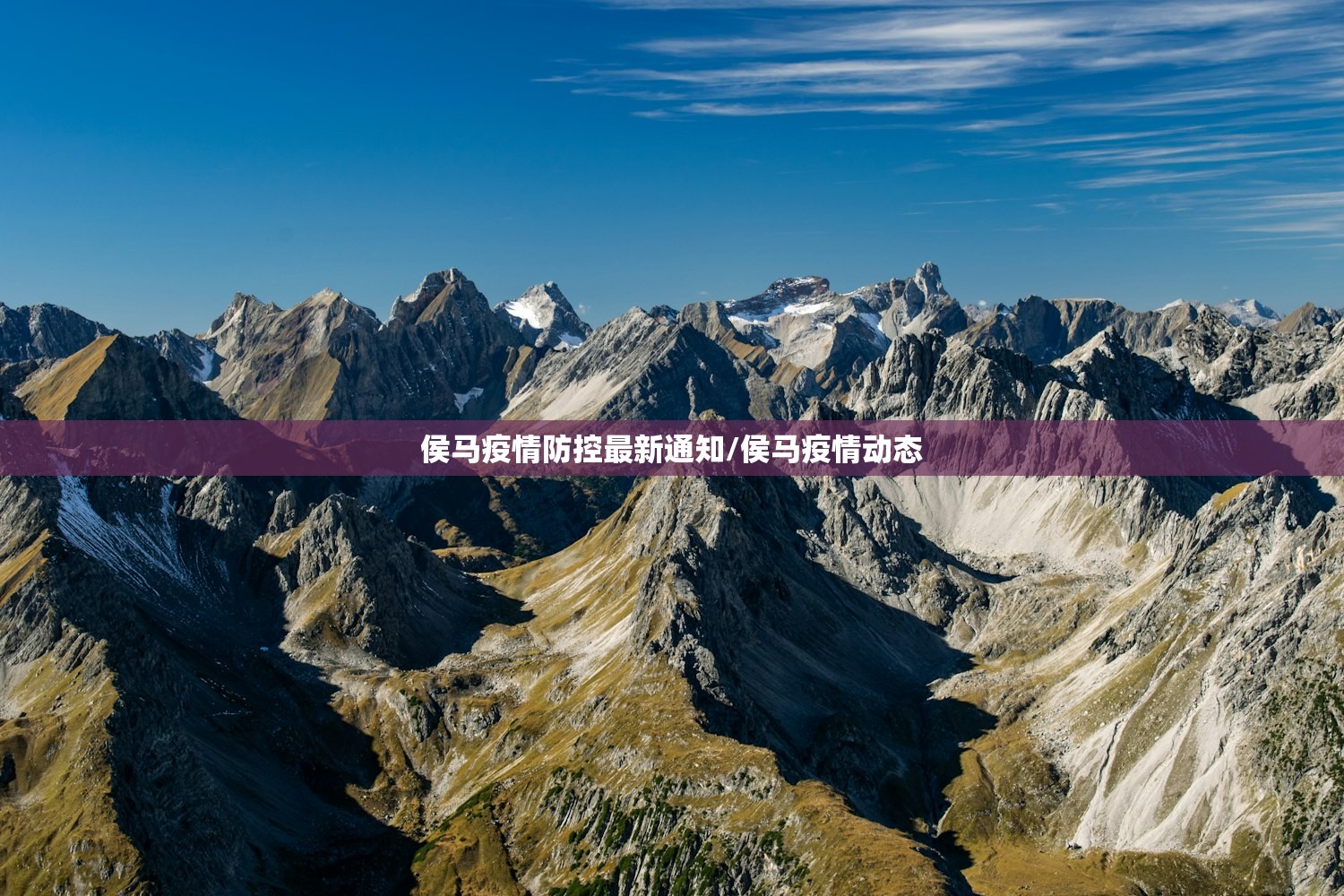 车牌选号方法/车牌选号方法与技巧