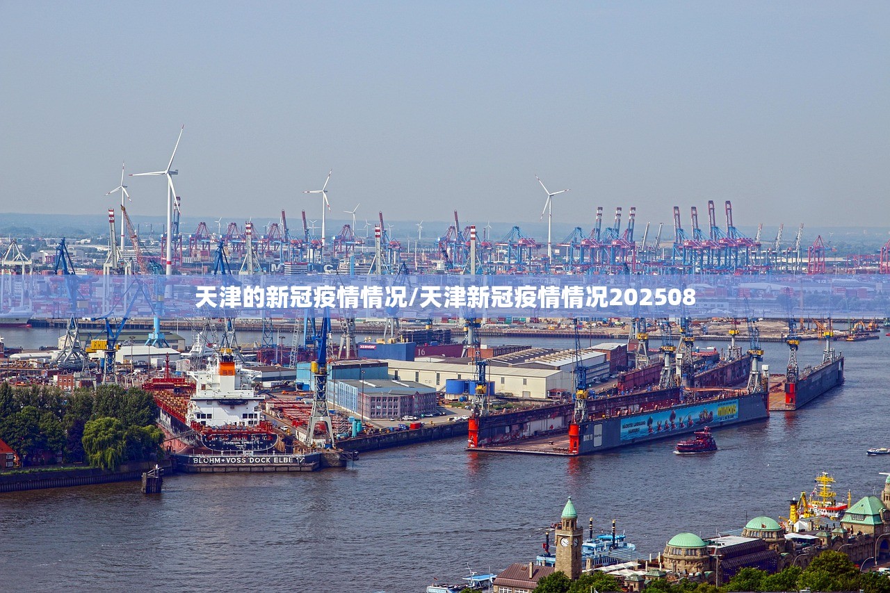 天津的新冠疫情情况/天津新冠疫情情况202508