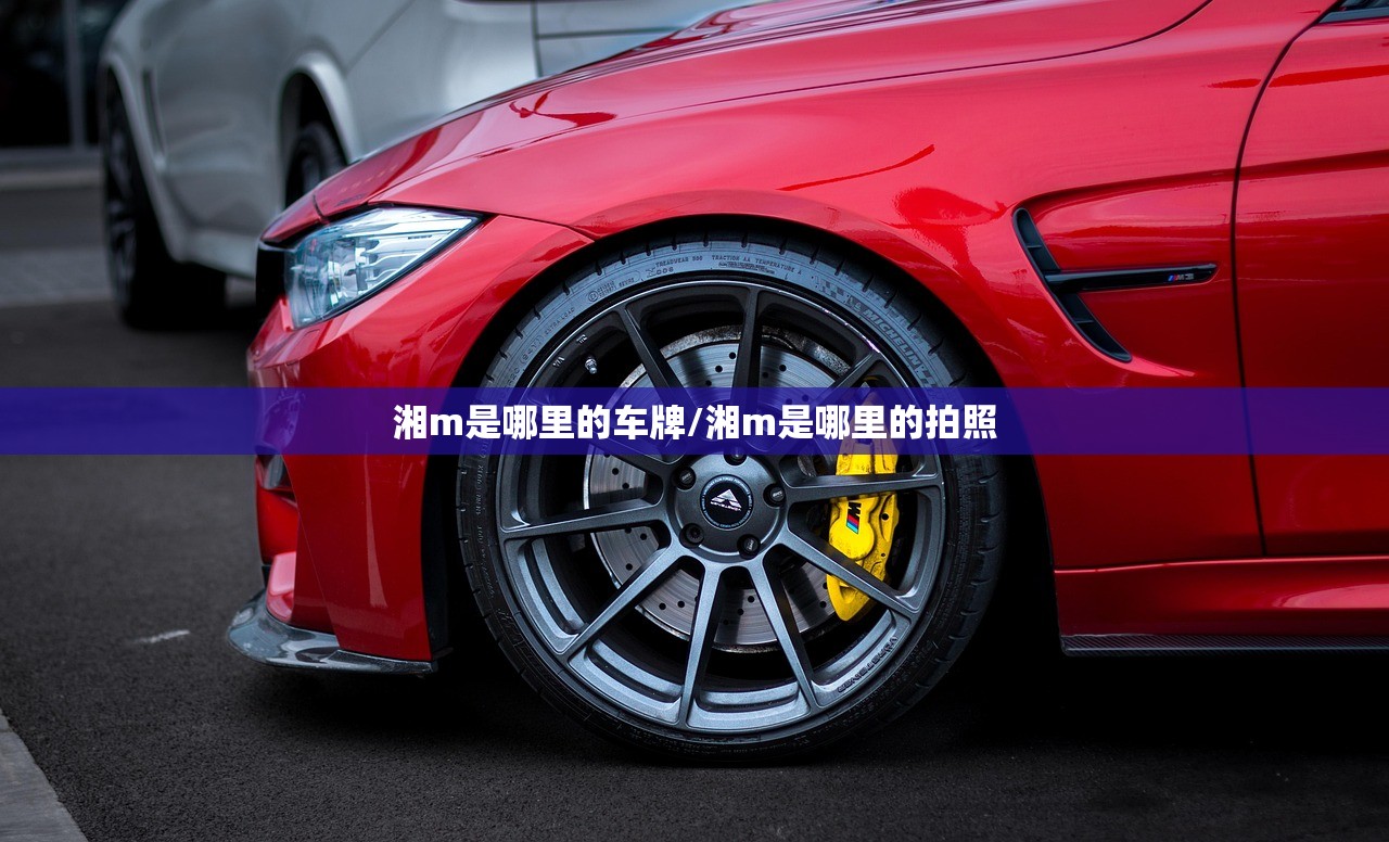 湘m是哪里的车牌/湘m是哪里的拍照