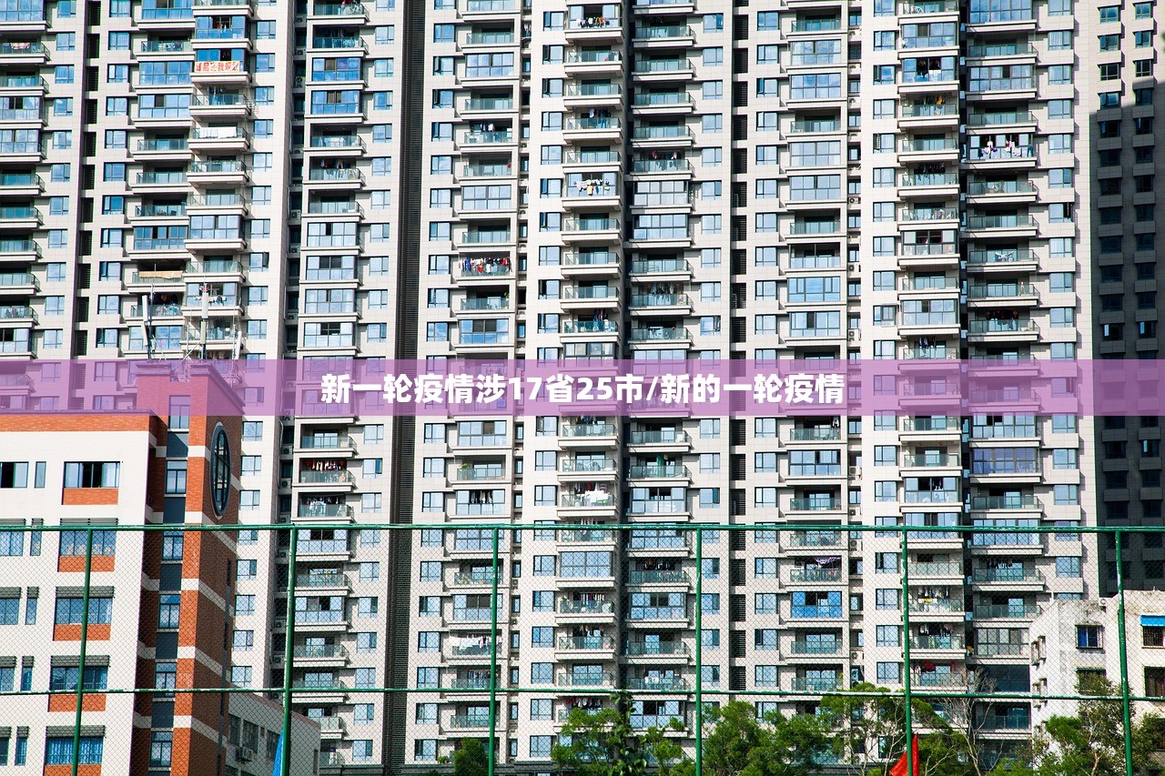 新一轮疫情涉17省25市/新的一轮疫情