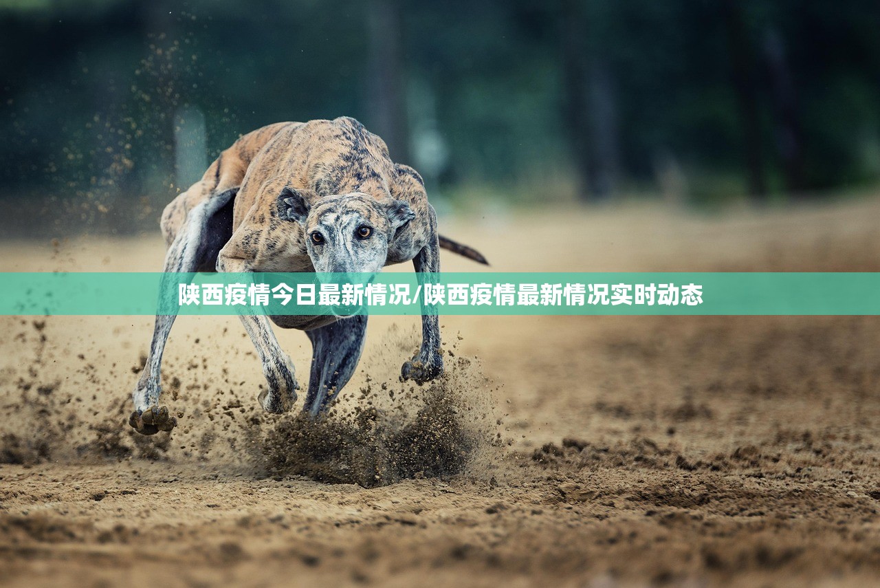 陕西疫情今日最新情况/陕西疫情最新情况实时动态