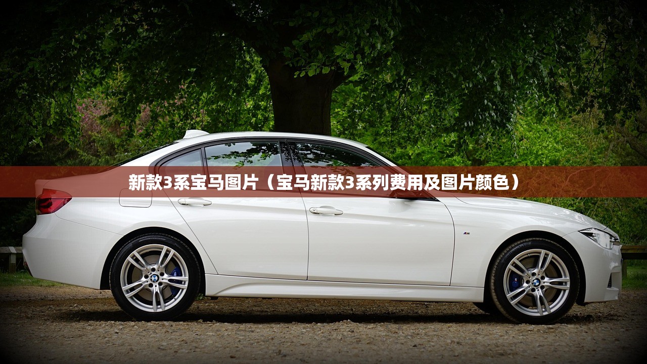 新款3系宝马图片（宝马新款3系列费用及图片颜色）