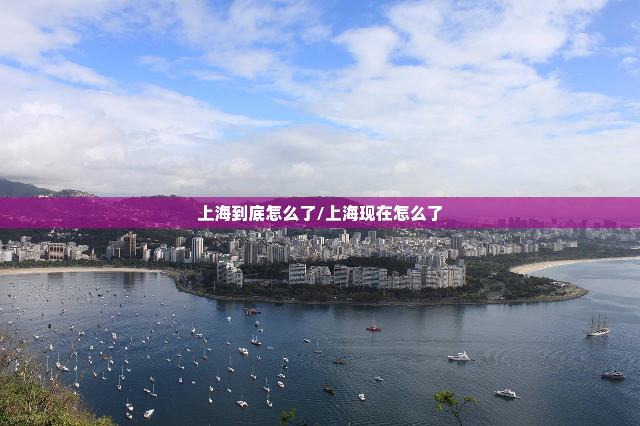 上海到底怎么了/上海现在怎么了
